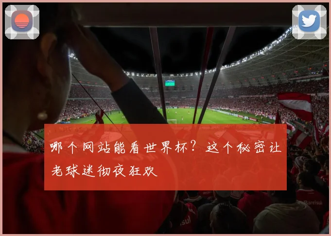 哪个网站能看世界杯？这个秘密让老球迷彻夜狂欢