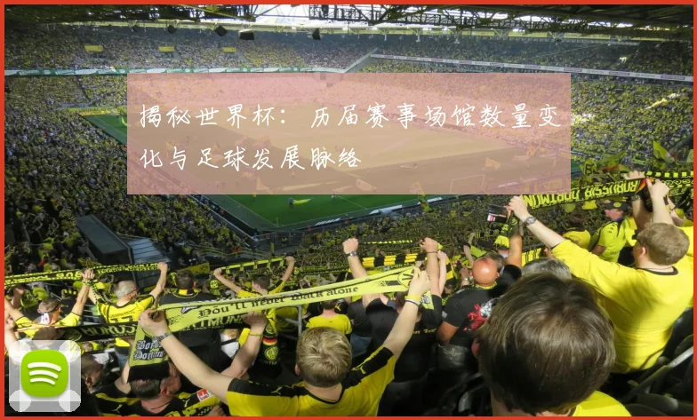 揭秘世界杯：历届赛事场馆数量变化与足球发展脉络