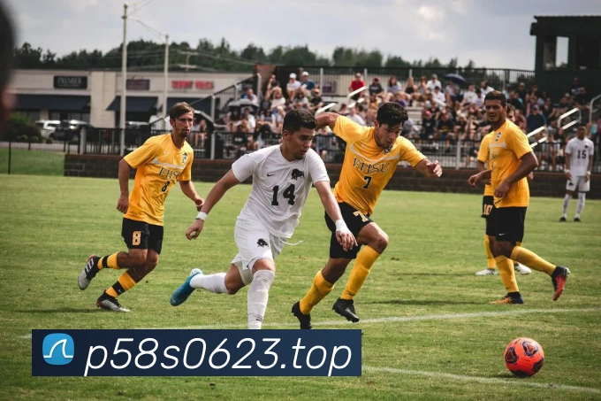 mksports登录入口全站App